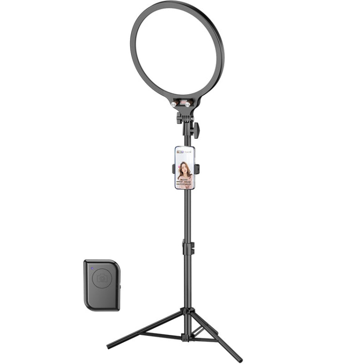 10.2 Inch Full-Screen Selfie Ring Light Tripod Set for Live Stream, Spec: 210cm Bracket With Remote Control - Selfie Light by PMC Jewellery | Online Shopping South Africa | PMC Jewellery | Buy Now Pay Later Mobicred