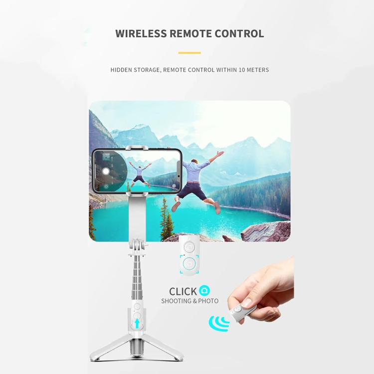 L09 Mini Handheld Folding Anti-shake Stabilizer Bluetooth Beauty Fill Light Selfie Stick(Black) - Selfie Sticks by PMC TechLife | Online Shopping South Africa | PMC TechLife | Buy Now Pay Later Mobicred