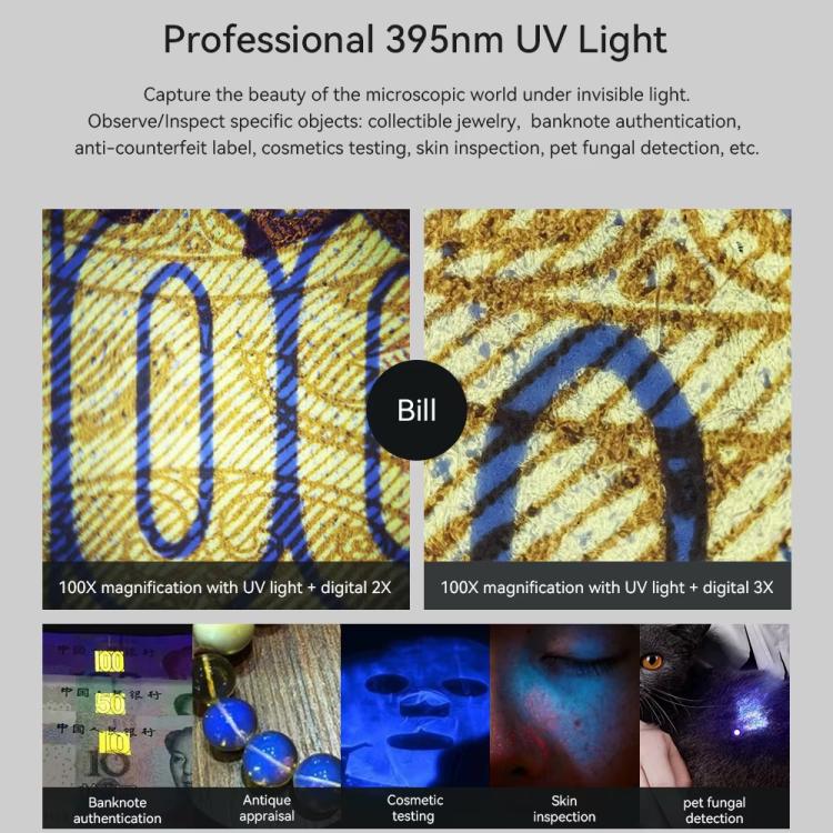 TBD06057115_B8.jpg@b02685a451a03734a521edcfbf90f5d9