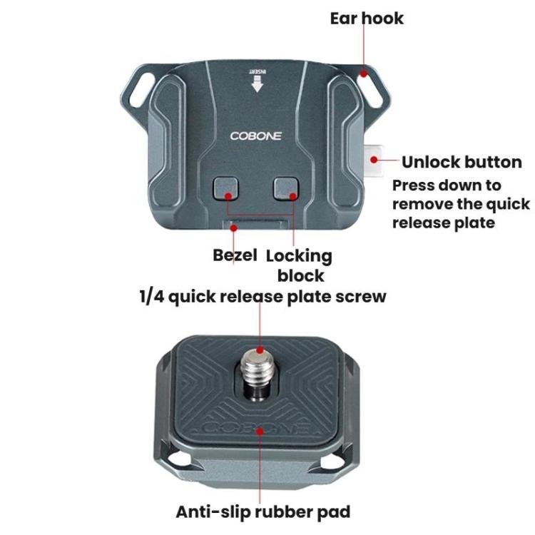 TBD06062863_2.jpg@e125d16c236e1d016ddd46cb68925f5a