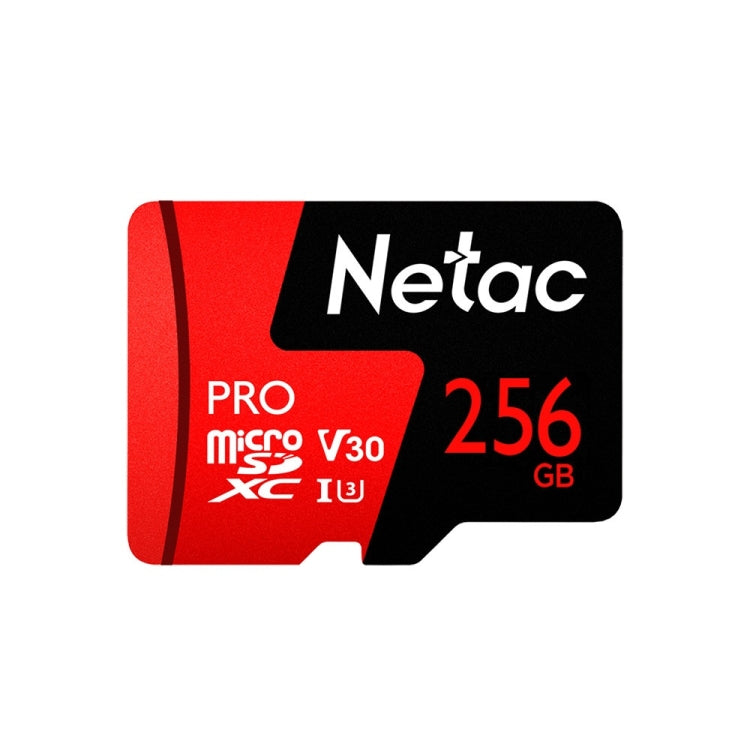 Netac P500 PRO 256GB U3 Speed Level Automobile Data Recorder Monitor Camera Memory Card TF Card - Micro SD Card by Netac | Online Shopping South Africa | PMC Jewellery | Buy Now Pay Later Mobicred