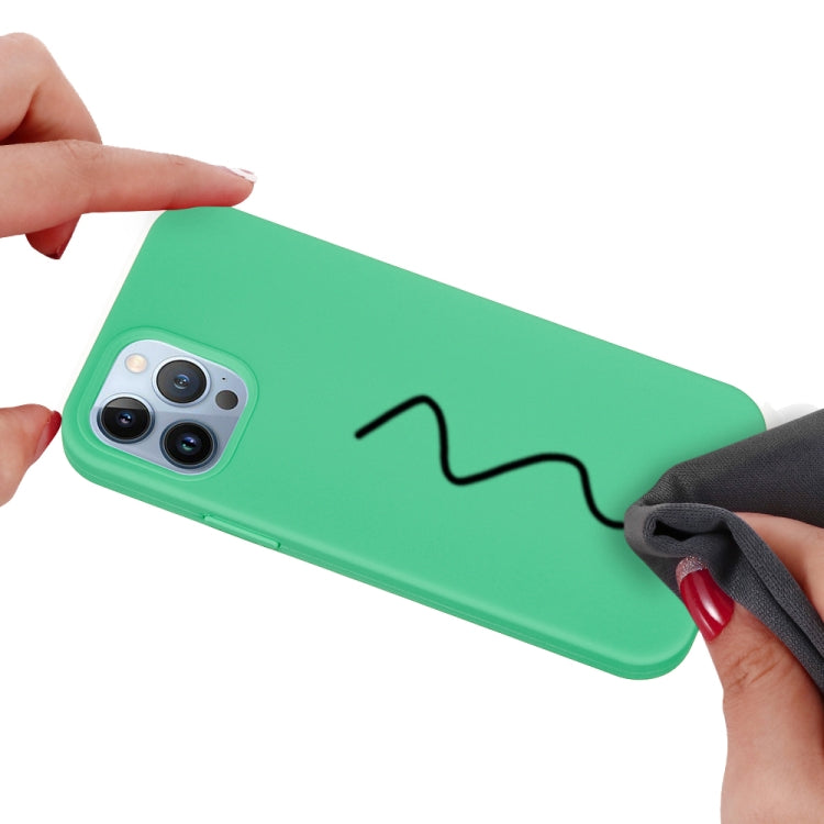 For iPhone 15 Pro Solid Color Silicone Phone Case(Green) - iPhone 15 Pro Cases by PMC TechLife | Online Shopping South Africa | PMC TechLife