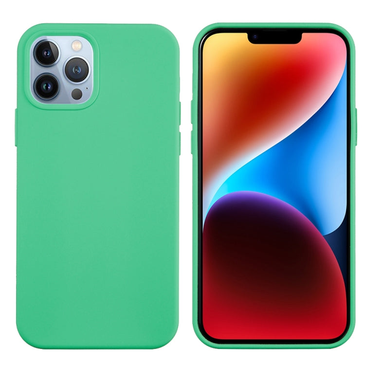 For iPhone 15 Pro Max Solid Color Silicone Phone Case(Green) - iPhone 15 Pro Max Cases by PMC TechLife | Online Shopping South Africa | PMC TechLife