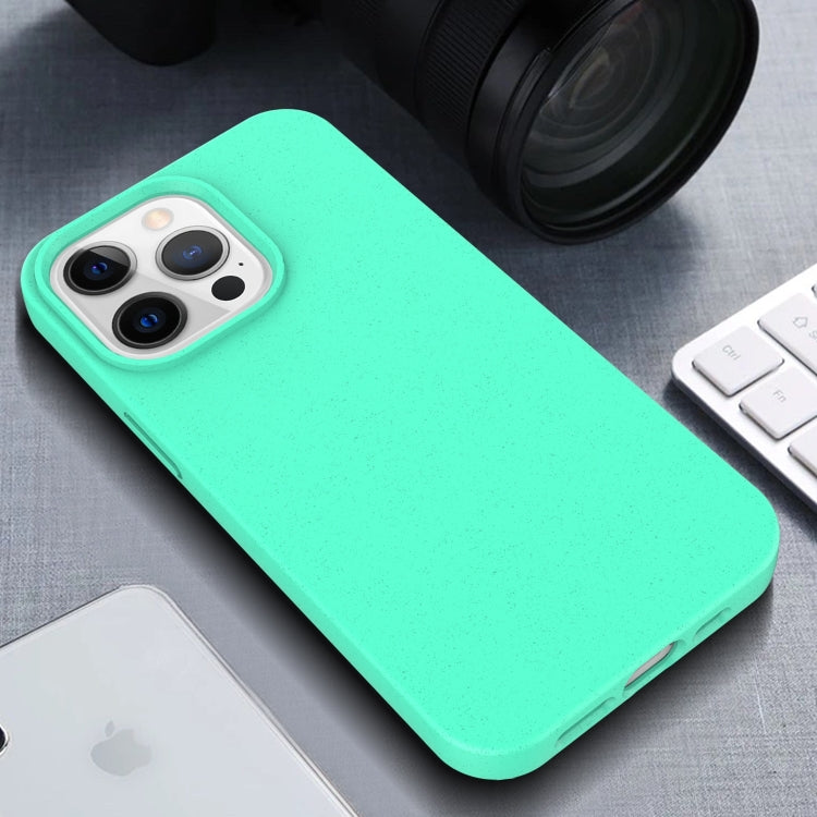For iPhone 15 Starry Series Shockproof Straw Material + TPU Protective Case(Starlight) - free shipping - PMC TechLife - Order now!