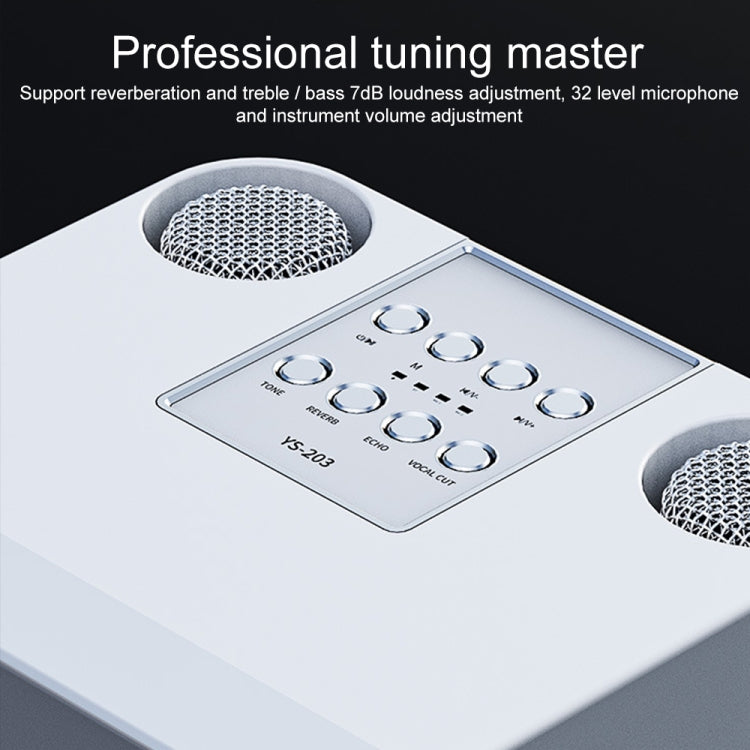 YS-203 Bluetooth Karaoke Speaker Wireless Microphone(Silver) - Microphone by PMC TechLife | Online Shopping South Africa | PMC TechLife