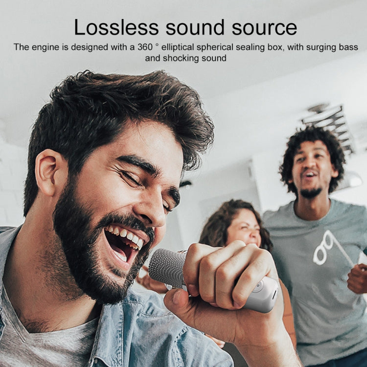 YS-203 Bluetooth Karaoke Speaker Wireless Microphone(Black) - Microphone by PMC TechLife | Online Shopping South Africa | PMC TechLife