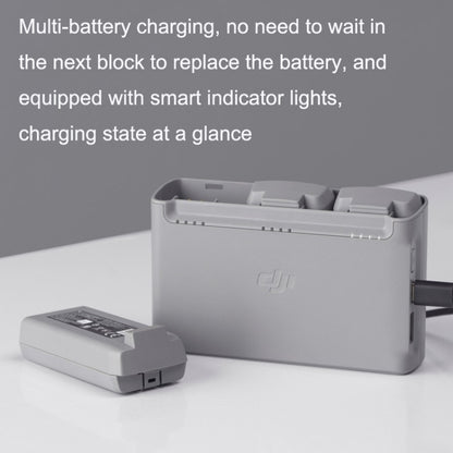 Original DJI Mini 2 / Mini SE Two-way Charging Butler(Gray) - Cable & Adapter by DJI | Online Shopping South Africa | PMC Jewellery | Buy Now Pay Later Mobicred