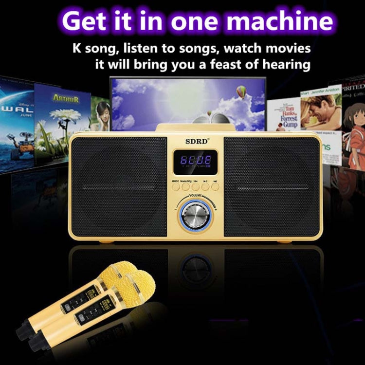 SDRD SD309 Wireless Microphone Bluetooth Audio All-In-One Machine(Black) - Microphone by PMC TechLife | Online Shopping South Africa | PMC TechLife