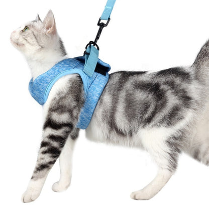 Cat Leash Pet Chest Harness Leash, Size: M(Sky Blue) - Leashes by PMC Jewellery | Online Shopping South Africa | PMC Jewellery