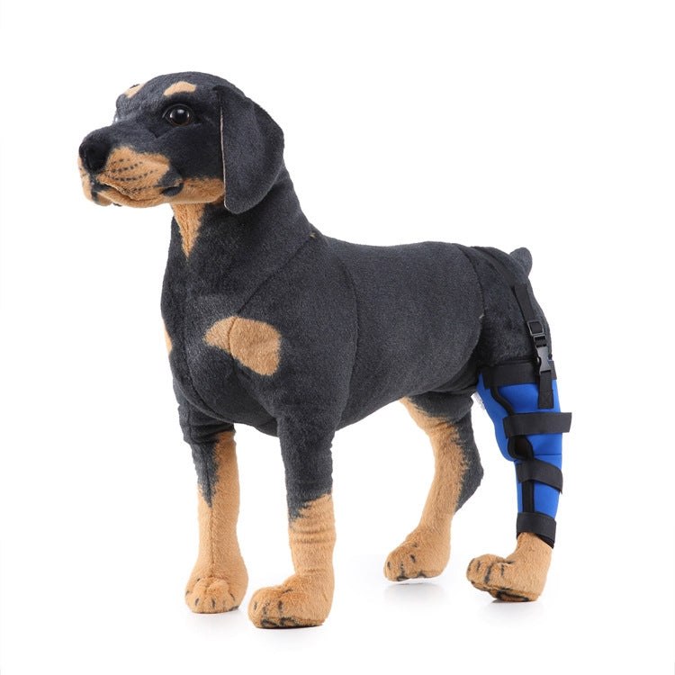 HJ19 Pet Surgery Rehabilitation Back Leg Protector Walking Aids, Size: M(Blue Left Back Leg) - Pet Care by PMC Jewellery | Online Shopping South Africa | PMC Jewellery