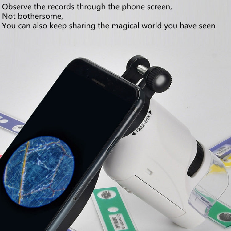 Children Handheld Portable Laboratory Equipment Microscope Toys, Colour: Lite Standard (Blue) - Digital Microscope by PMC TechLife | Online Shopping South Africa | PMC TechLife | Buy Now Pay Later Mobicred
