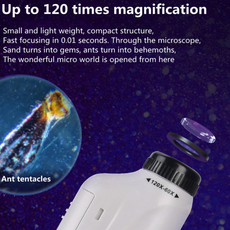 Children Handheld Portable Laboratory Equipment Microscope Toys, Colour: Lite Standard (Blue) - Digital Microscope by PMC TechLife | Online Shopping South Africa | PMC TechLife | Buy Now Pay Later Mobicred