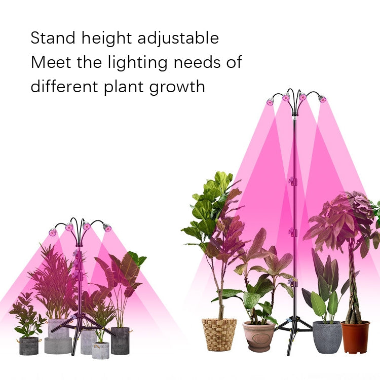 LED Plant Lamp With 1.6m Stand USB Remote Control Dimming Grow Light, Style: Four Head(Full Spectral) - LED Grow Lights by PMC Jewellery | Online Shopping South Africa | PMC Jewellery