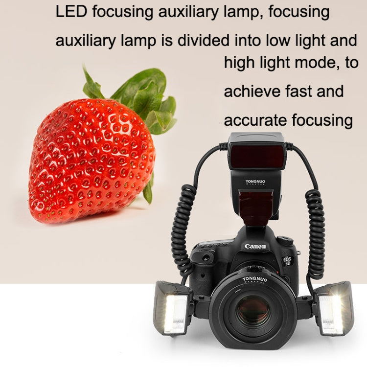 For Canon TTL Oral Insect Insect Teeth Ring Light YONGNUO YN24EX Macro Ring Flash Speedlite(Black) - Ring Light Flashes by YONGNUO | Online Shopping South Africa | PMC Jewellery | Buy Now Pay Later Mobicred